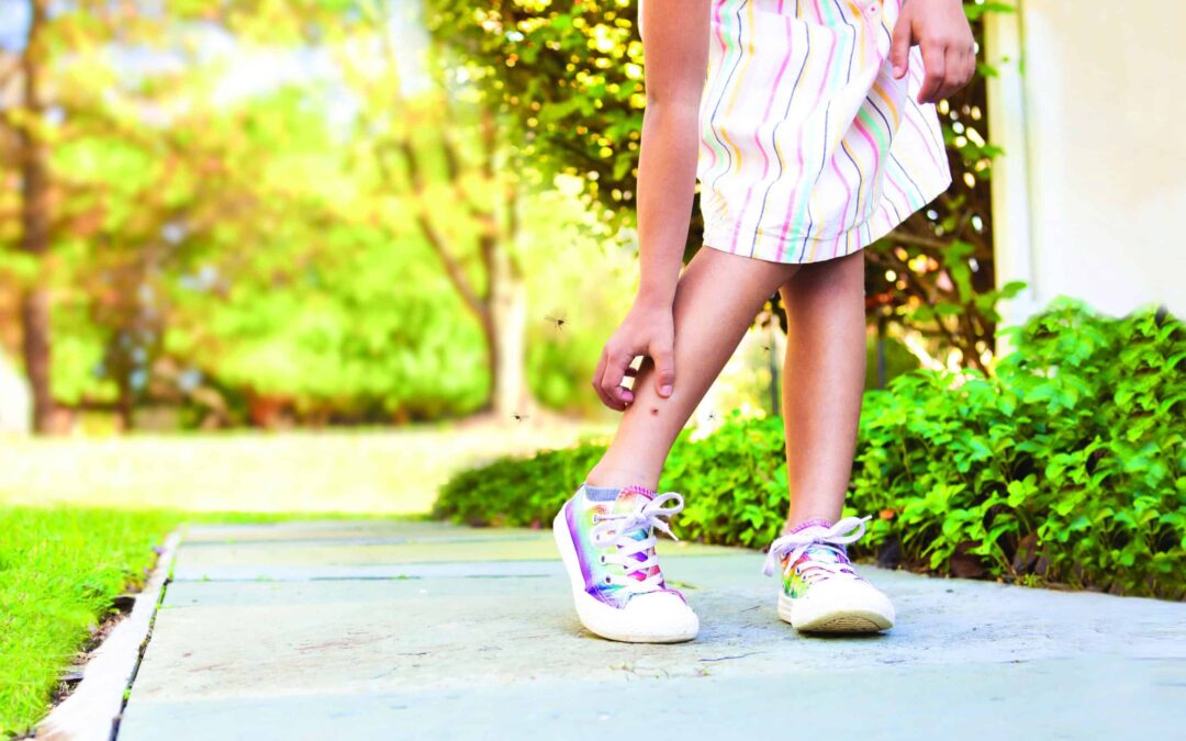 Spring Has Sprung! 4 Reasons to Book Mosquito Squad