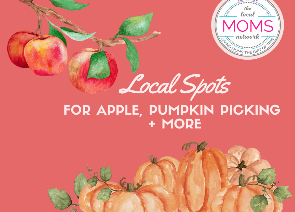 Local Farm Fall Fun: Apples, Pumpkins and More